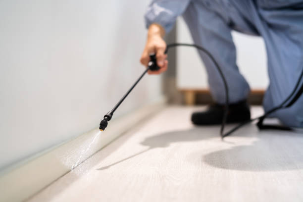 Licensed Exterminator service in Tahoka, TX - Show Me Pest Control